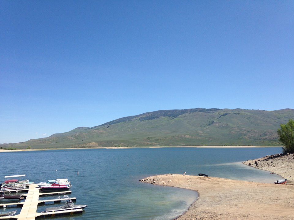 Cash is the incentive for anglers to catch an invasive species