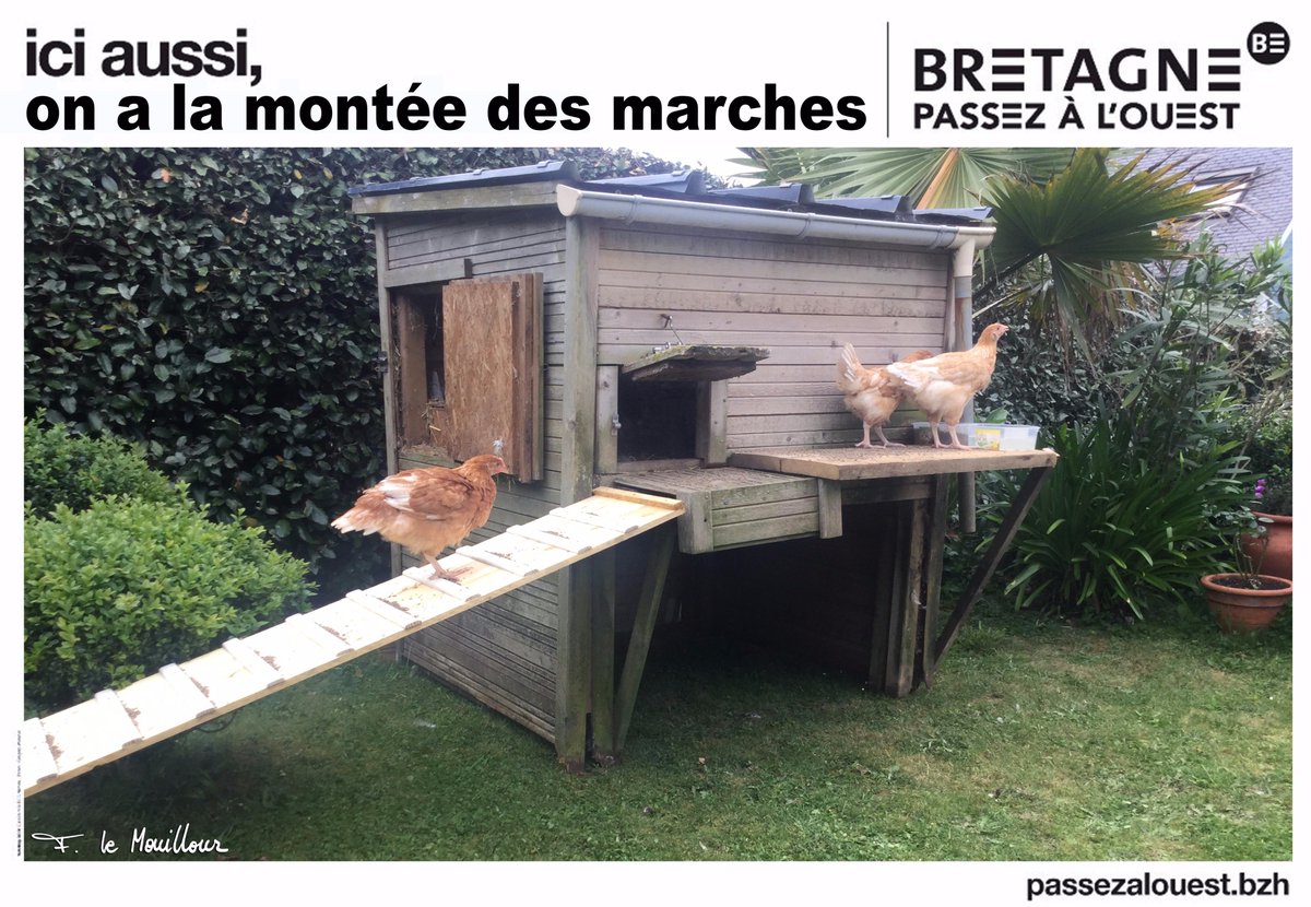 lemouillour's tweet photo. ma petite participation ..passez à l'ouest...en direct de mon jardin...hahahahah https://t.co/BG3CZl8jaZ