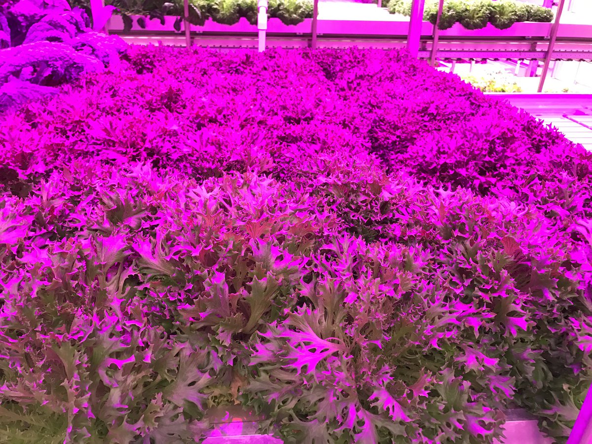 Join the Vertical Farming Conference on June 28th. We will be there! Link: verticalfarmingconference.com
