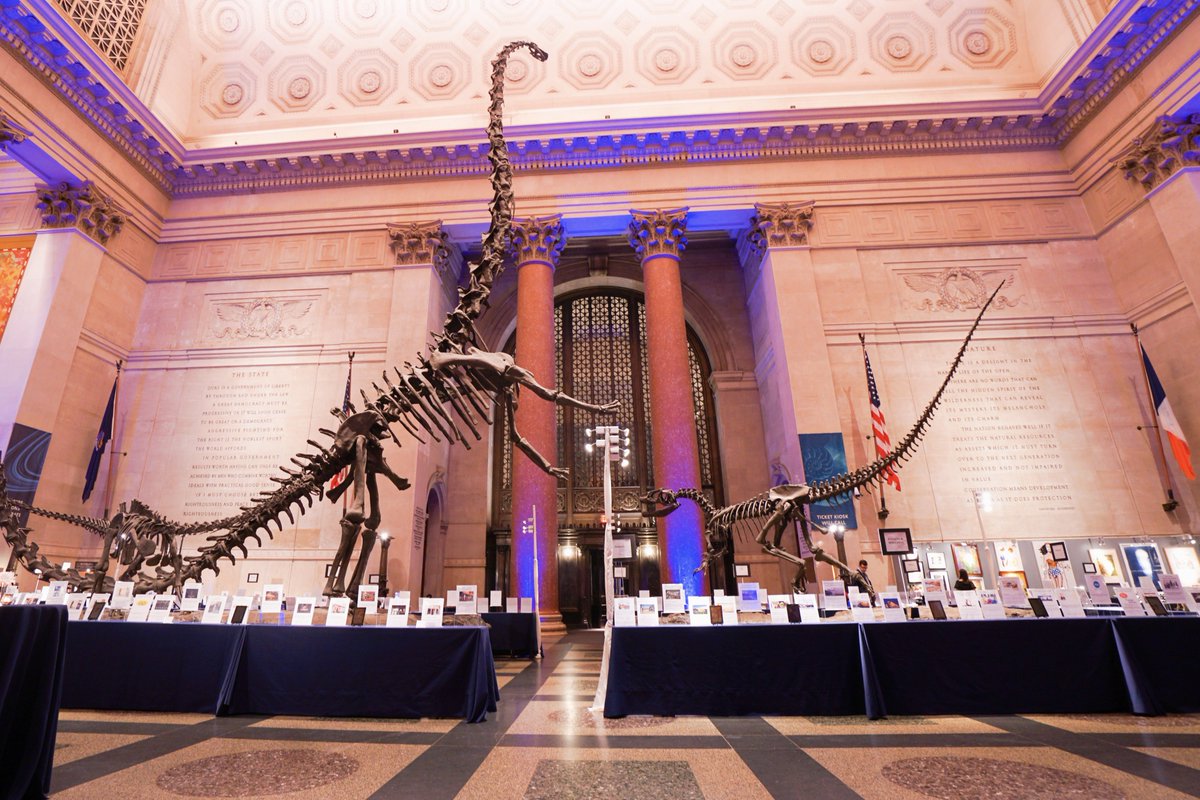 Levy_NYC's tweet photo. What a wonderful night @AMNH with the @calhounschool gala team!
#19for19gala #amnh #levynyc #audiovisual https://t.co/0RaemRODOU