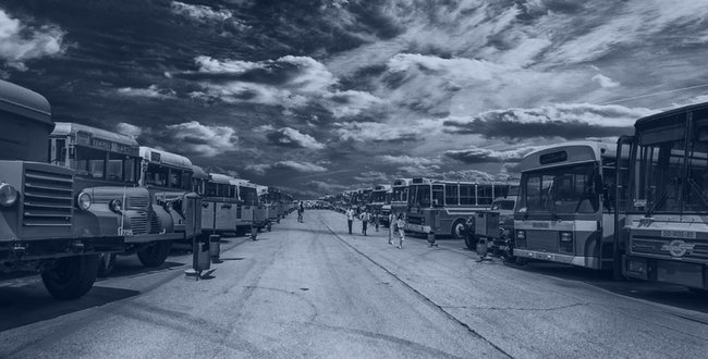 Ecolane's tweet photo. We know you have a lot of options when looking for your #transitsoftware solution. Here's how to compare effectively https://t.co/eglQoRvJpU https://t.co/cnIHNBmRmi