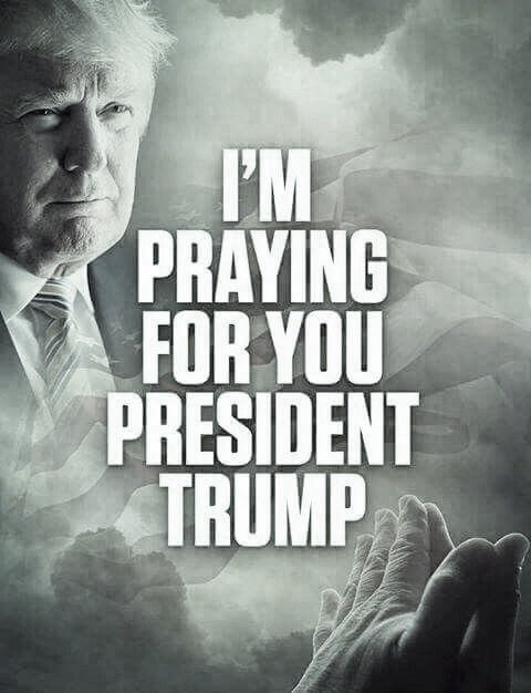 Flodbolge's tweet photo. @realDonaldTrump You are in my prayers every day and especially now in these trying times. May God bless, protect and guide you. https://t.co/n5TN06E0A0