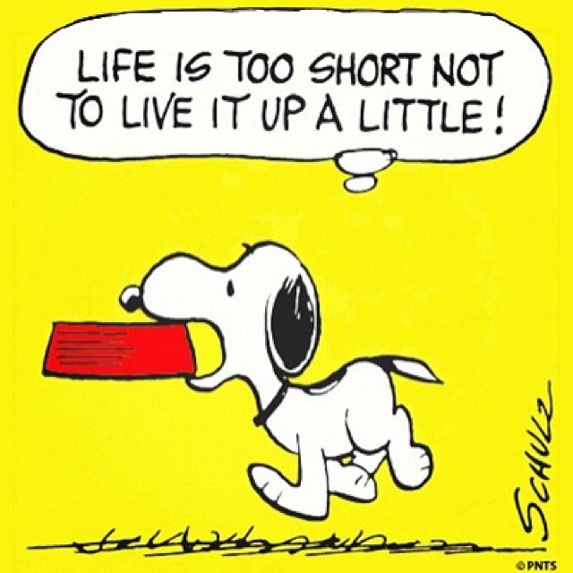 snoopyfacts's tweet photo. Life is too short not to live it up a little!
Visit our Snoopy store π https://t.co/fvTjFQ5ixw
#snoopyfacts #snoopyquotes https://t.co/clTPcM2Dh1