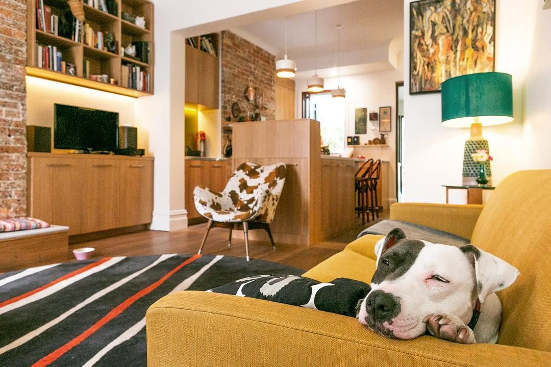 Darlinghurst Residence - Living Room buff.ly/2pumb1S