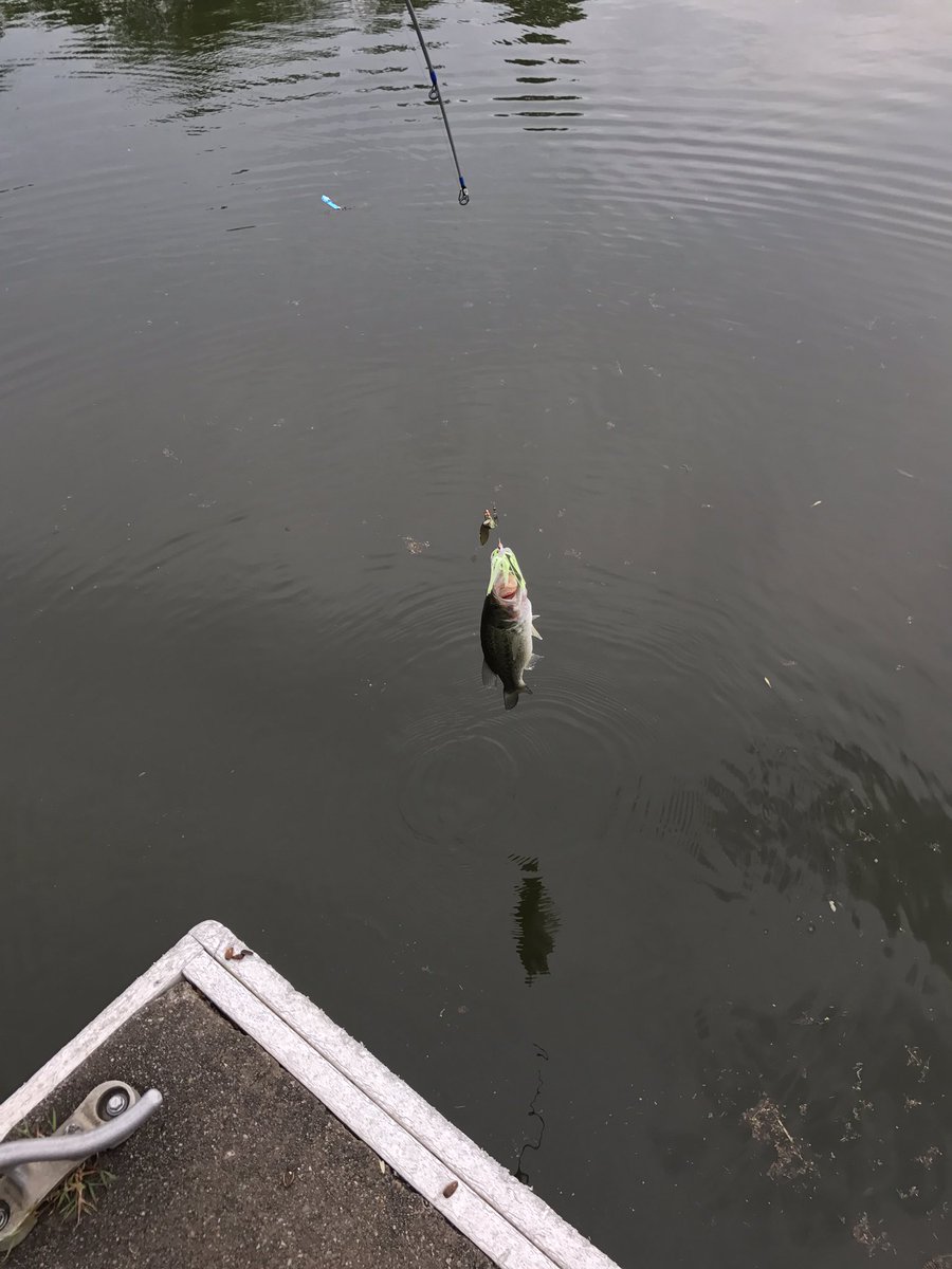 BobAdams1983's tweet photo. My @BooyahFishing #spinner worked its magic again! Love @BooyahFishing products, my "go-to" lures out on the water! https://t.co/CArOIhYtiX