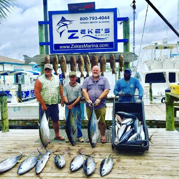 zekesmarina's tweet photo. Nice catch on the Miss Brianna with Captain Bobby Kelley! https://t.co/LRIcGI0bBP