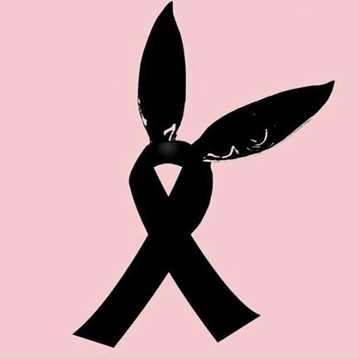 brielaga22's tweet photo. Descansa En paz
Arianators💔 https://t.co/m4wS353muo