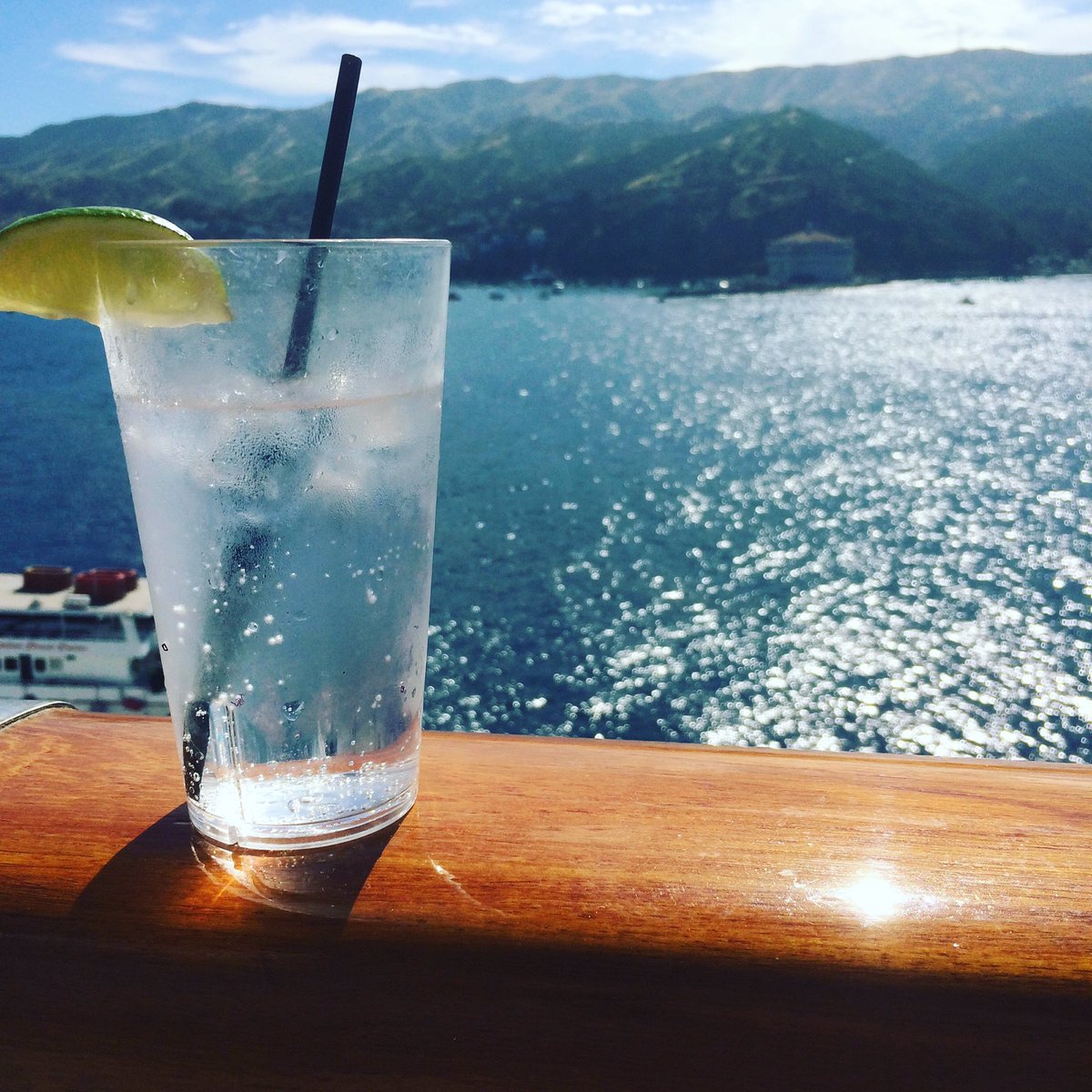 HGCProjects's tweet image. 3rd day of our Mexican cruise. A day onshore in Catalina California and G'n T to refresh
