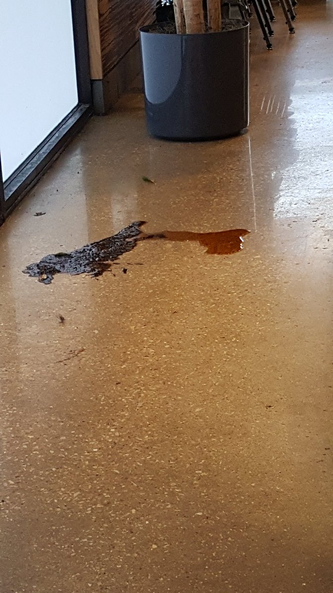 HCIHYT's tweet photo. @kerbeylanecafe Yes. Just ordered, we're sat next to the spilt black beans. https://t.co/4oXOnHMFff