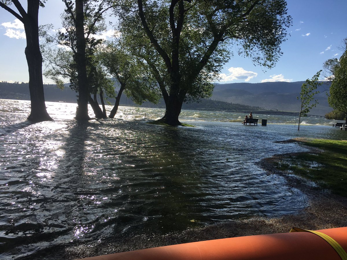 LauraStew's tweet photo. Scary water. Won't be long before it crosses the barrier. #KelownaFloods...and there always has to be the one stupid person trying to swim. https://t.co/UqI14UrFGi