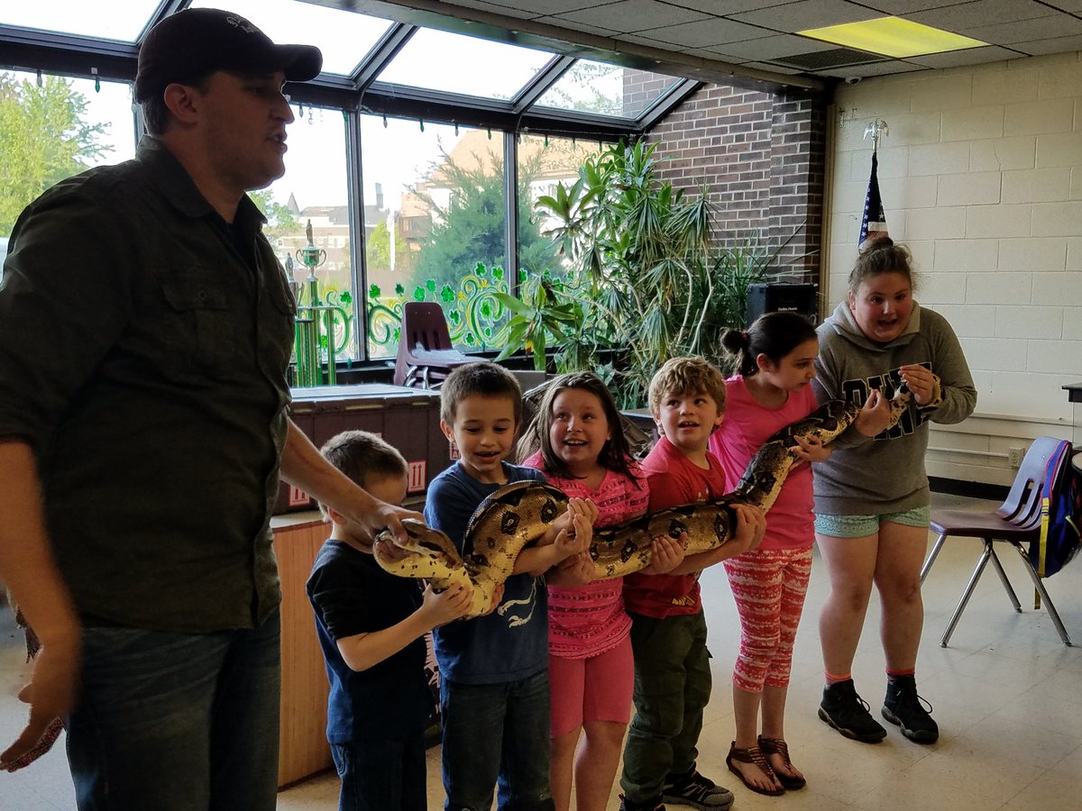 VCAssociation's tweet image. Thanks to @JeffAnimalGuy &amp;amp; Nickel City Reptiles for a great presentation tonight for some of our after school families! #giantsnake