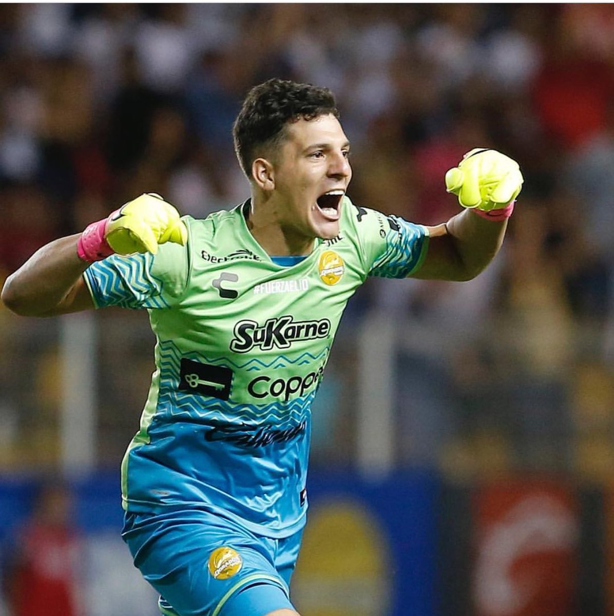 GasparServio37's tweet photo. Gracias @Dorados por esta oportunidad que me diste y por este año hermoso que pasamos juntos!! https://t.co/UqZGzR5zrX