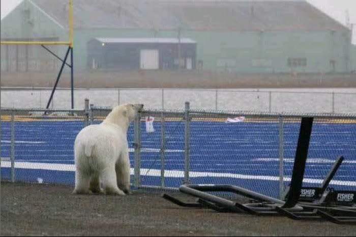 beststadiums__'s tweet image. High School Football in Alaska 😳❄️

(Barrow, AK)