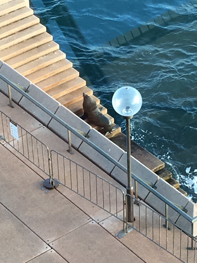 RealePeter's tweet photo. Great morning at the Adobe Symposium meeting a new friend out the front of the Opera House #AdobeSymp https://t.co/pKDv9ccJXP