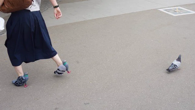 これはやばいwwハトと仲良くなれるハトヒールがリアルすぎてワロタww