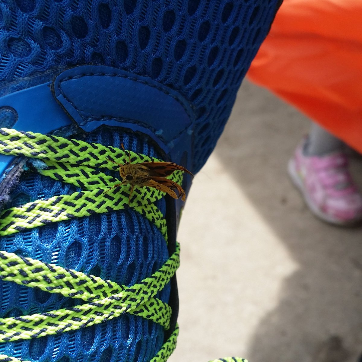 functionapparel's tweet image. My little friend lol