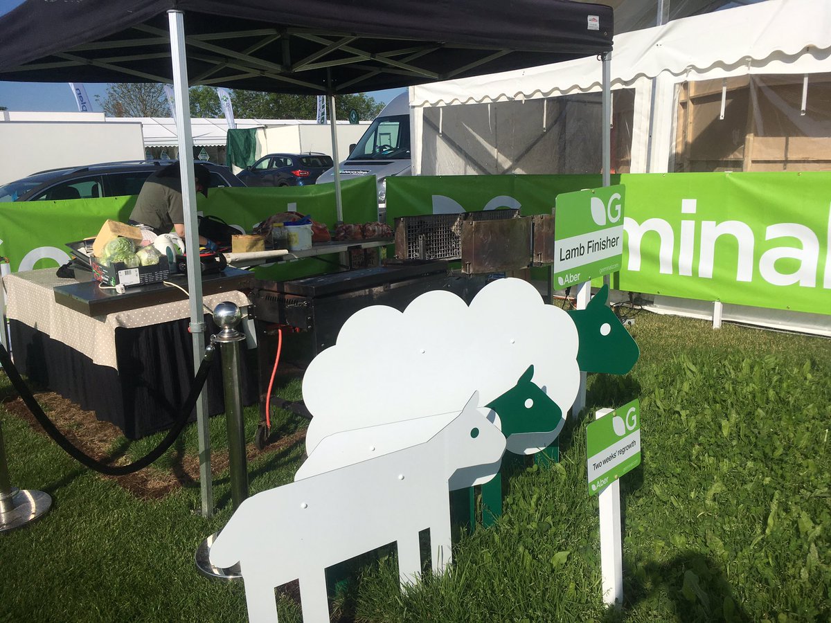 Sun is shining <a href="/grasslandmuck/">Grassland & Muck Event</a> !
Looking forward to feeding some hungry farmers.