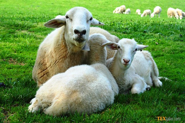 BilalTextalks's tweet image. 