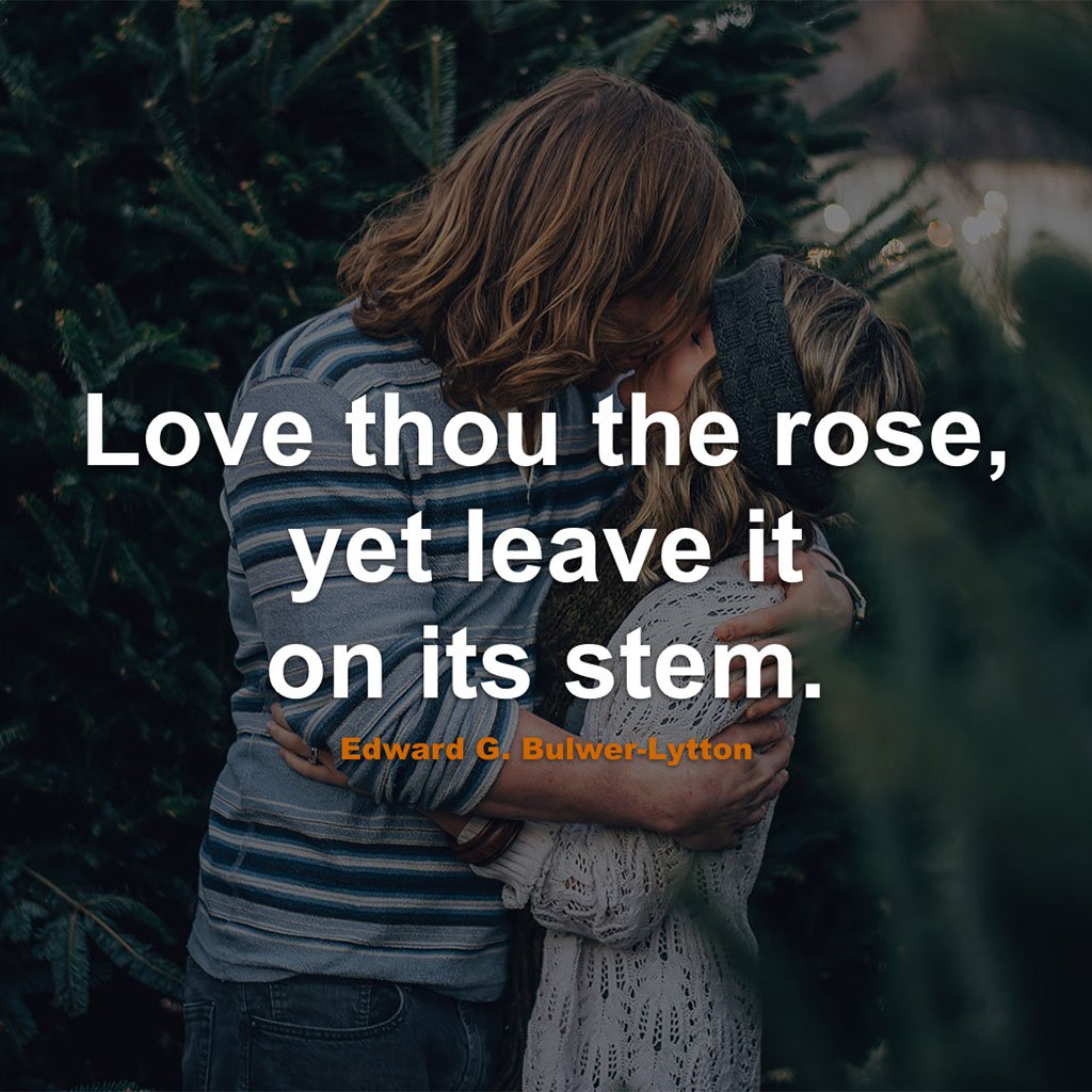 QuoteInEnglish's tweet image. #Relationship #Quotes #Quote #RelationshipQuotes #QuotesAboutRelationship #RelationshipQuote #QuoteAboutRelationship