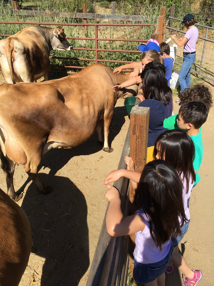 regnerclass's tweet photo. I always love going to The farm with students. #lasdk8 https://t.co/1SWfUvtfP1