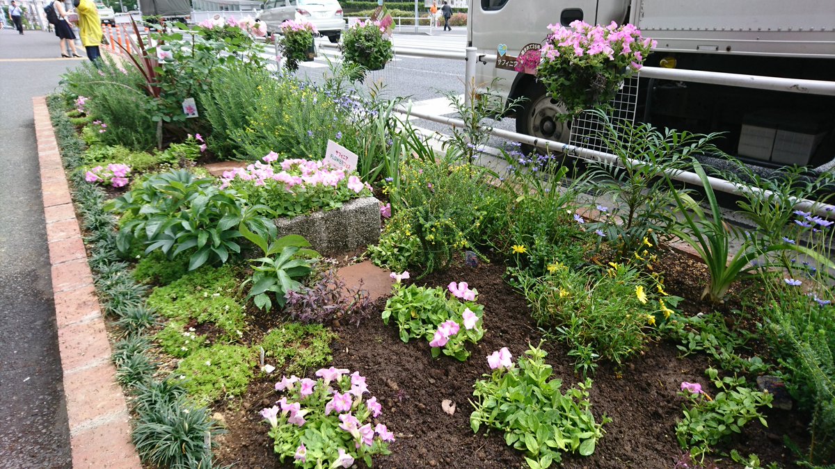 טוויטר 日吉駅前花壇 花ポケット בטוויטר 5 22に 花壇の花を植え替えました パンジーはもう終わりなので 全部抜き サフィニアを地植えに 今はあっさりしていますが これで 夏に向かって株が大きくなると ピンクの絨毯になることでしょう 日吉 日吉駅