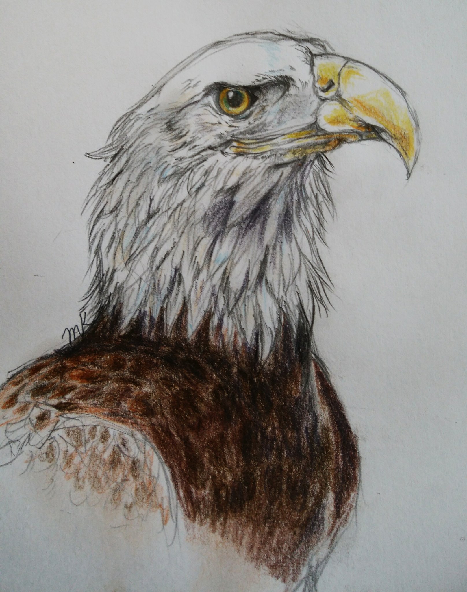 けものフレンズ Twitter