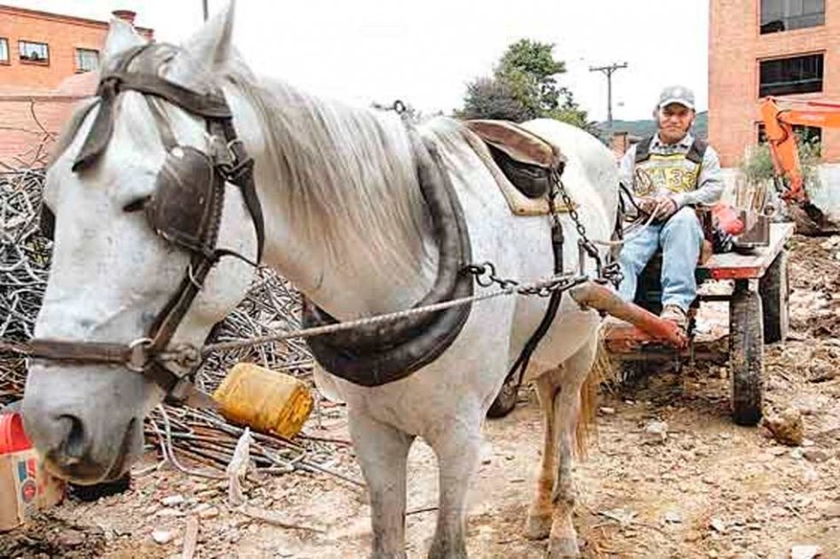 Policía halla matadero clandestino de caballos
 bit.ly/2rOI6DA