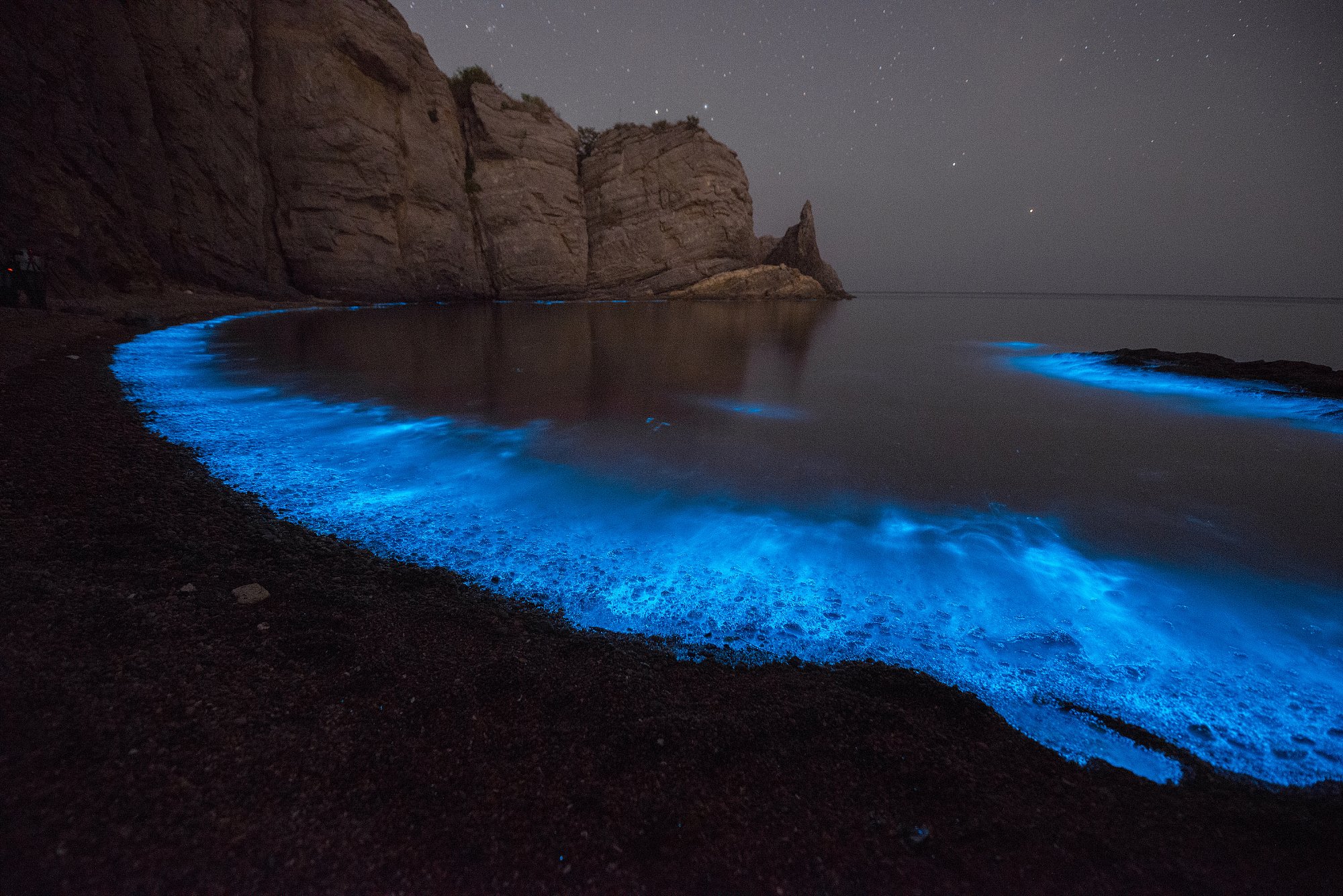 Море флуоресцент