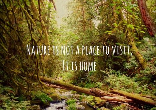 makesworldbette's tweet photo. #nature #love #respect #humanity #GoGreen #everywhere #earth #recycle 
https://t.co/ctjTgugqqW https://t.co/5AxhrpXJQU