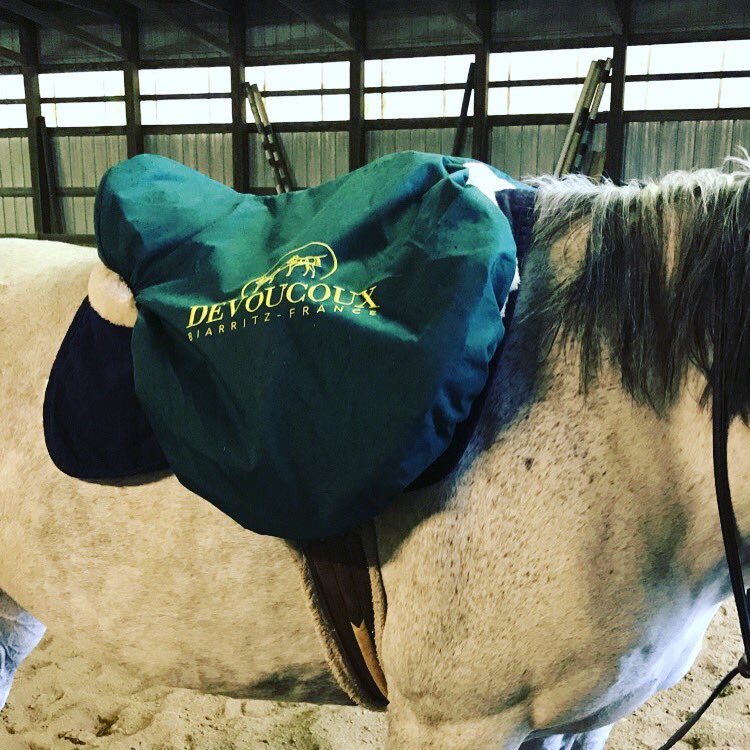 cweaver1994's tweet photo. The saddles? 😍 this cover? 😍😍 Keeps rain off the beautifully crafted saddle underneath🌧☔️⛈ #teamdevoucoux @Devoucoux @DevoucouxUSA https://t.co/GyNoA8C5A9