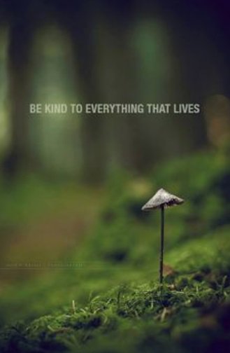 makesworldbette's tweet photo. #GoGreen #recycled #Recycle #ecofriendly #savetheplanet #Stoppollutingcities #kitchen #kitchengadgets https://t.co/ctjTgugqqW https://t.co/CCFlYy6s33
