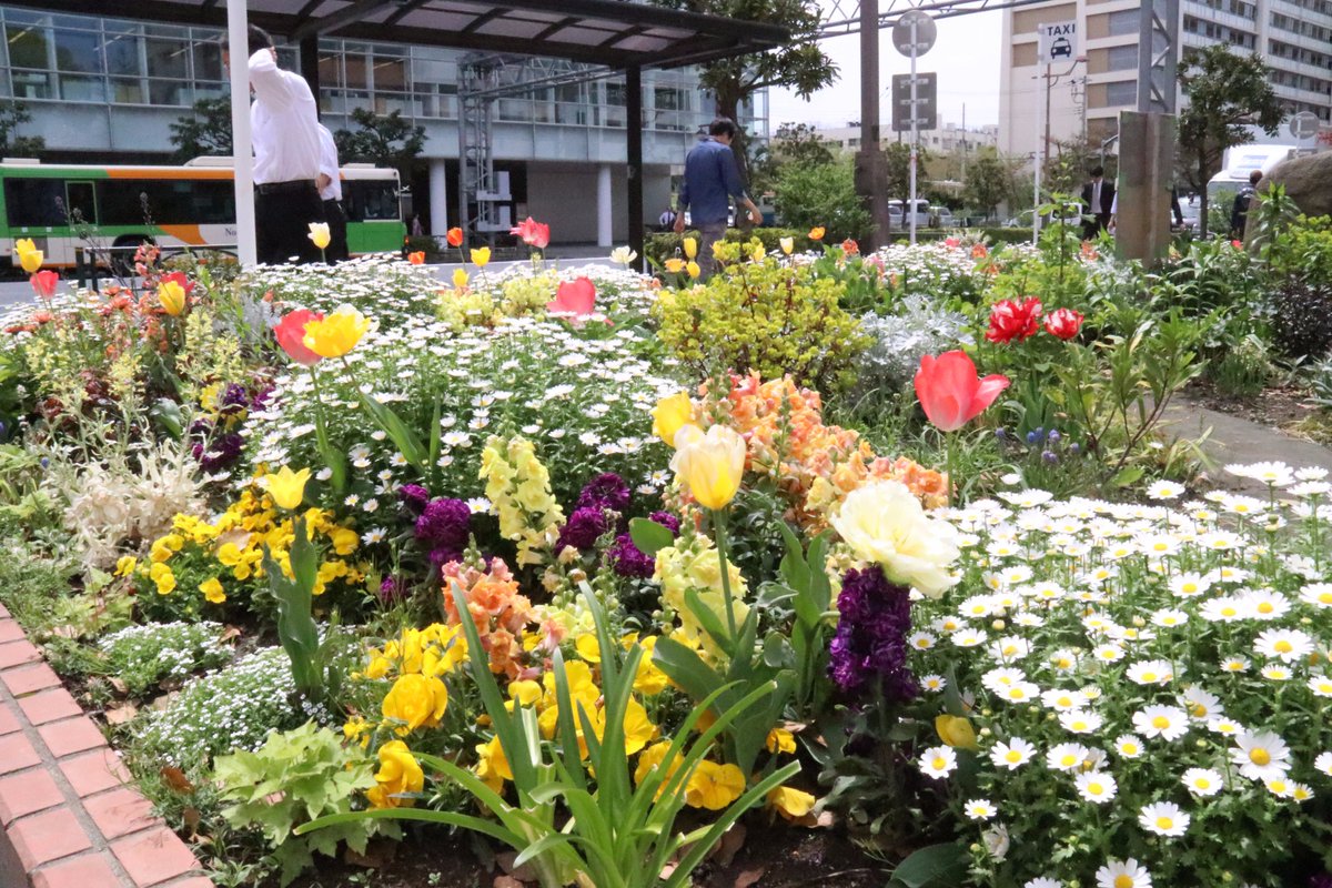 江東区 V Twitter 江東区 花とみどりのお散歩隊 参加者募集 6 8 木 昨年秋に花壇整備を行った東陽公園や バラが咲き誇る豊住公園のコミュニティガーデンの見学会を開催します 申込は5 26 金 から 詳細は区hpで ぜひご参加ください T Co