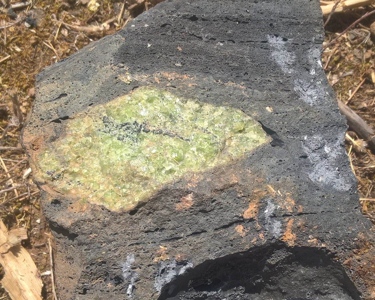 The Rock Library tweet media