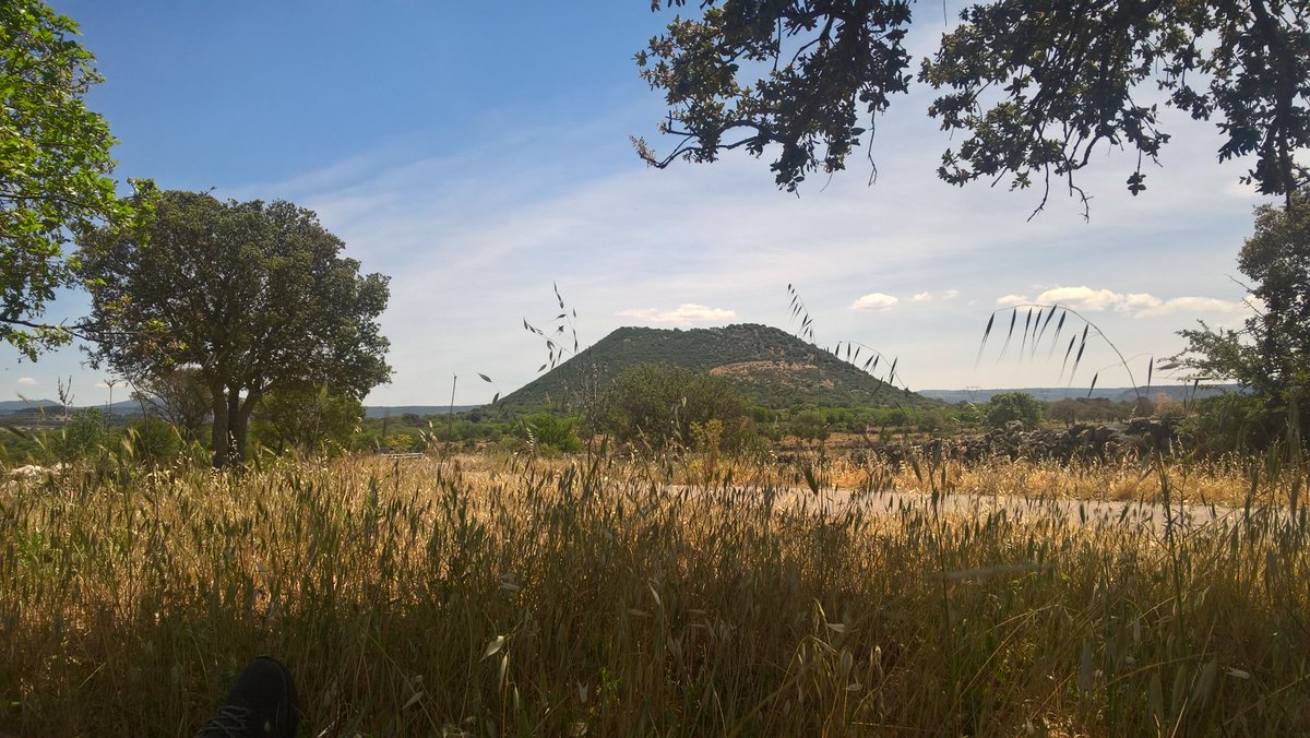 The Rock Library tweet media