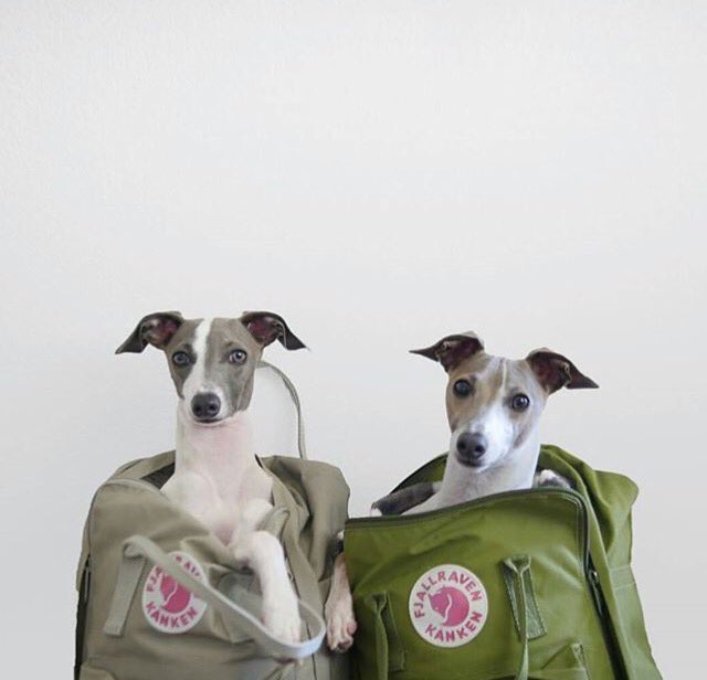 Mykankenbag clearance