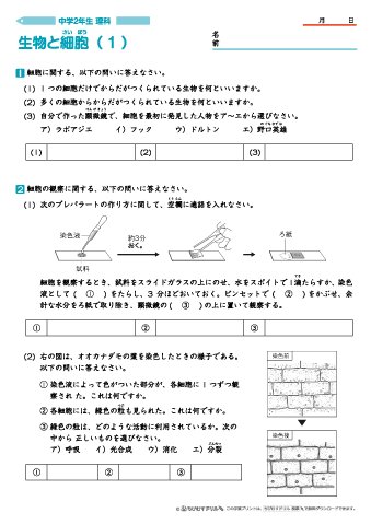 ちびむすドリル V Twitter 作成 追加しました 中２理科 生物