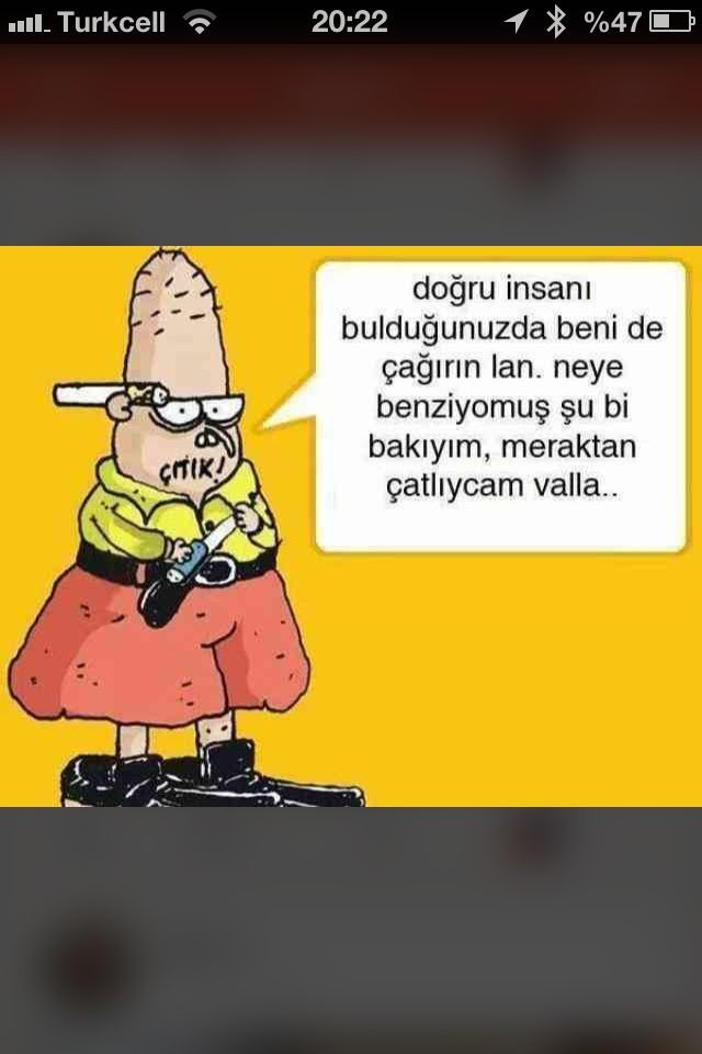 Bende merak ediyorum