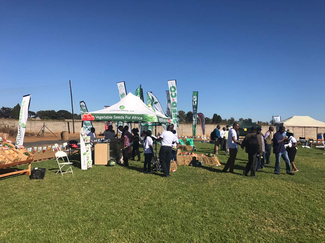 Prime Seedco tweet media