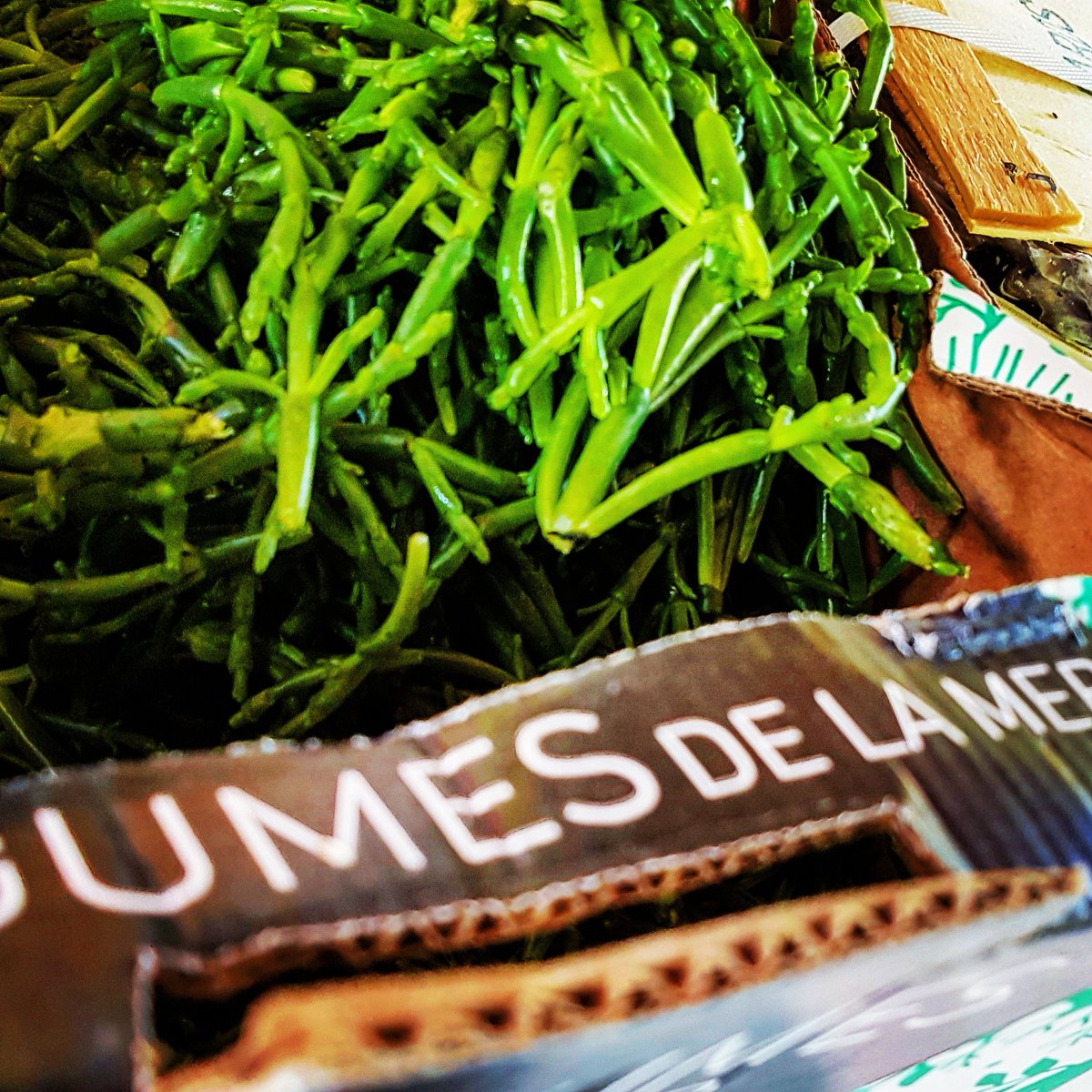 Leyton_Fish's tweet photo. Had this cracking French samphire at the weekend. It's just come back in to season. Get it while you can! #leytonfood #fresh #fish #seafood https://t.co/72CYuF3vNX