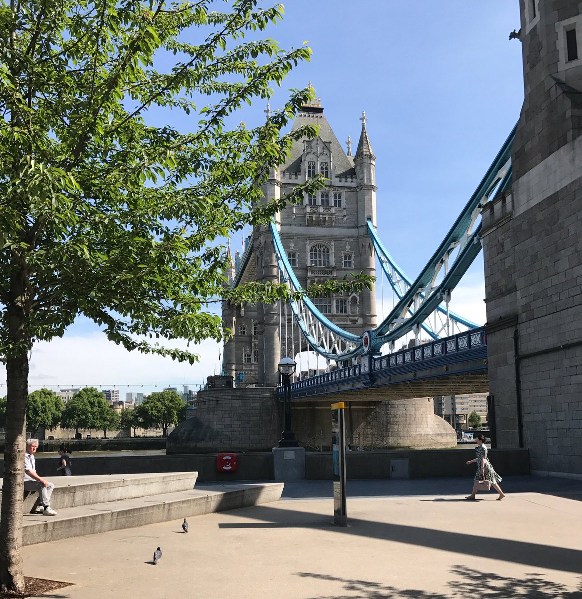 Ivy Tower Bridge tweet media