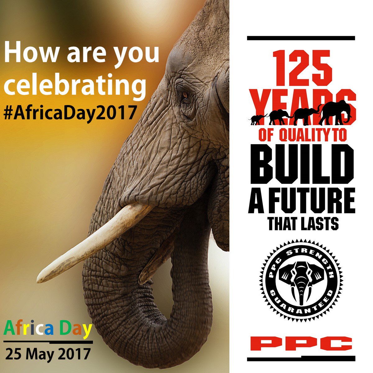 PPC_Africa's tweet photo. How will you be celebrating #AfricaDay2017? @PPCImaginarium #PPC125 #QualityMatters https://t.co/dpiUuaizan