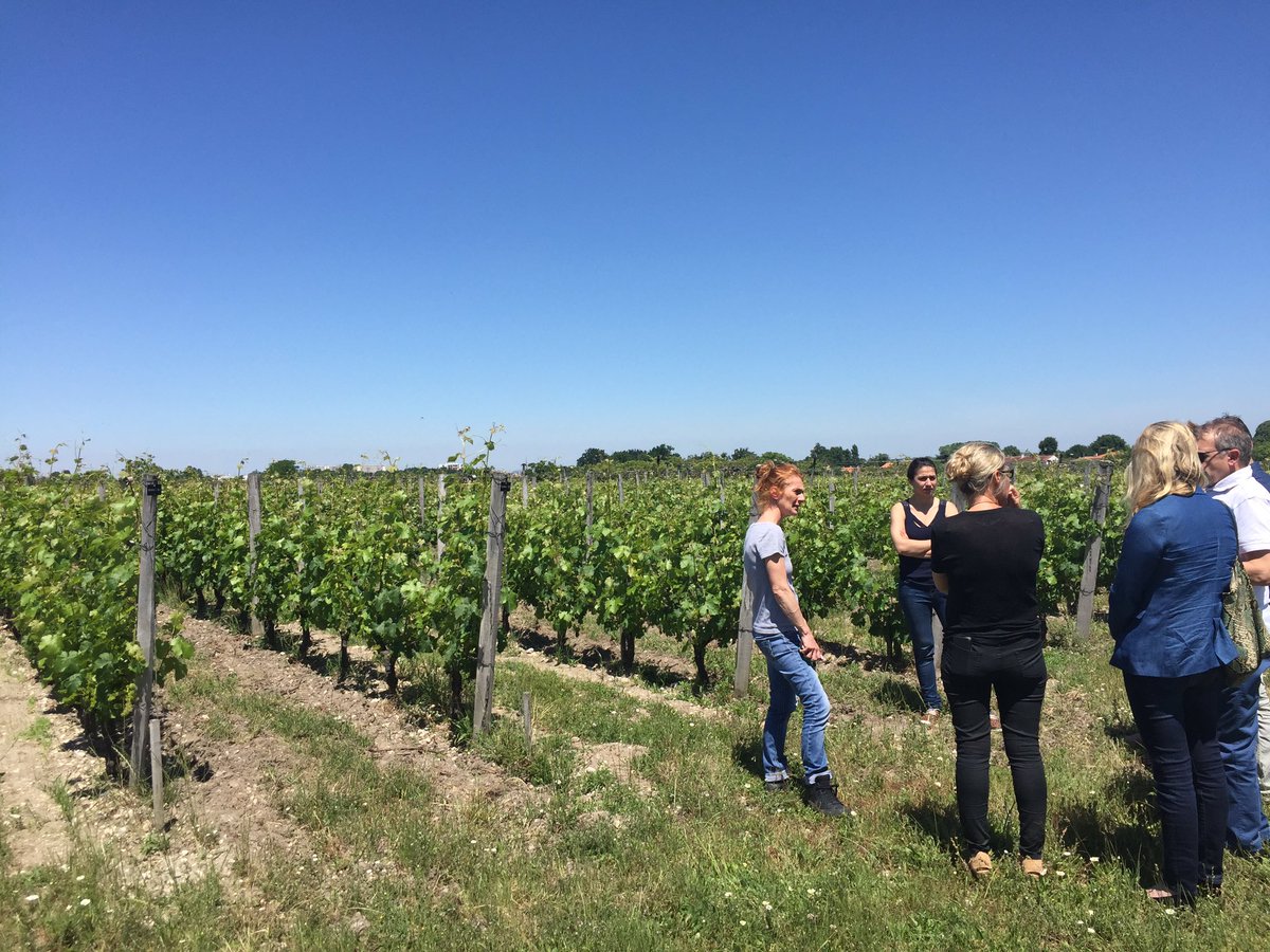 Plant2Pro's tweet photo. #GreffAdapt: Essais 52porte-greffes x 5 variétés pour suivis à long terme. #changementclimatique @Inra_BdxAqui https://t.co/JnGMwYRCHQ