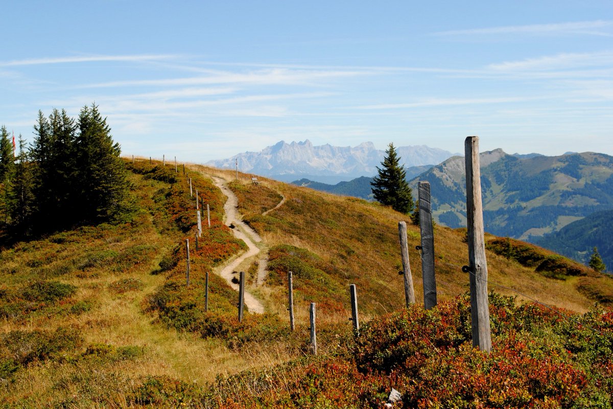Wellnesswandern's tweet photo. #Natur erleben mit allen Sinnen in den #Alpen im #Salzburger Land &amp; im #Großarltal Natur-Erlebnis Wanderungen buchen https://t.co/VVYfOpfYUg https://t.co/IHFvCUdT5p