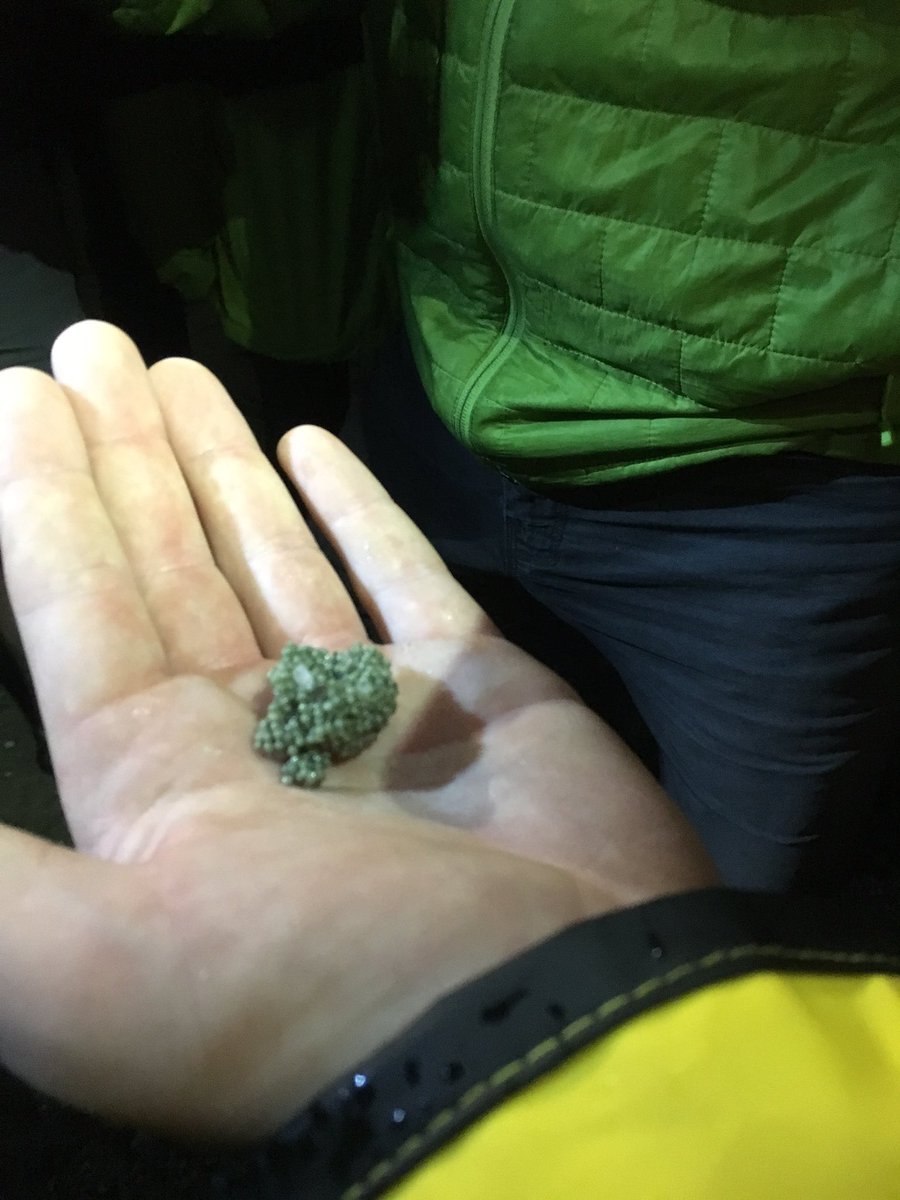 STEM_Bobby's tweet photo. #WeAreCedarCreek late night science trip to do some sampling last night #PirateSTEM https://t.co/DFn0QGWnNG
