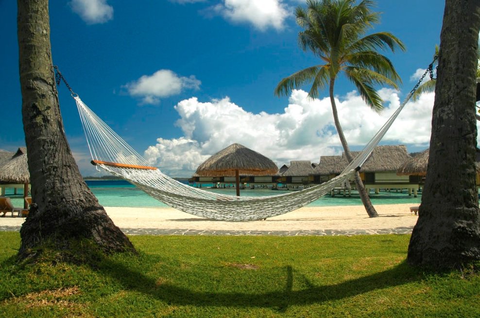 ROMandBROCK's tweet photo. Hammock on the beach. Can you say heaven?! Happy Humpday! https://t.co/eKsHMW5PrR
