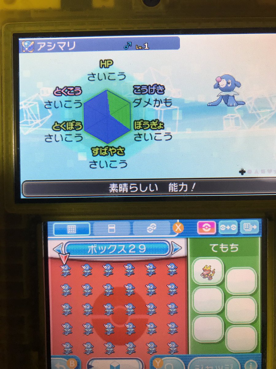 ポケモン野郎 On Twitter ミラクル交換でウルボのアシマリが流れて来 ポケモン野郎 On Twitter ミラクル交換でウルボのアシマリが流れて来