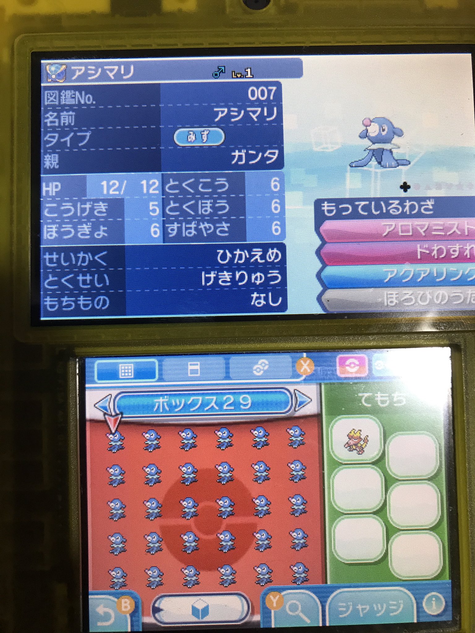 ポケモン野郎 Twitter ನಲ ಲ ミラクル交換でウルボのアシマリが流れて来て タマゴだけ作って流れて来たアシマリ を逃した その時に色違いが産まれんやけど ６v A抜け５vのアシマリが余ったから欲しい人いるかな ポケモン ポケモンサンムーン アシマリ