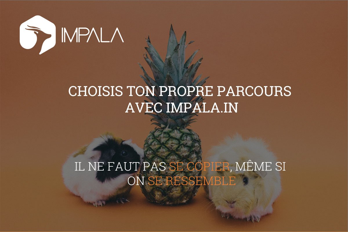 valueyounetwork's tweet photo. Choisis ton propre parcours avec IMPALA #impala #inflenceur https://t.co/cTlUFVdD79