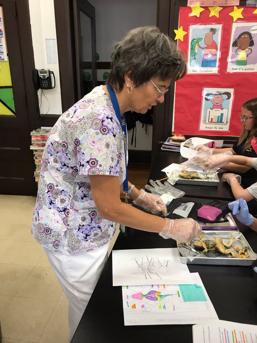 Roosevelt07071's tweet photo. 7th Grade science dissection with Mrs. Leonardi and Mrs. Sica. https://t.co/YPFspJEl8c