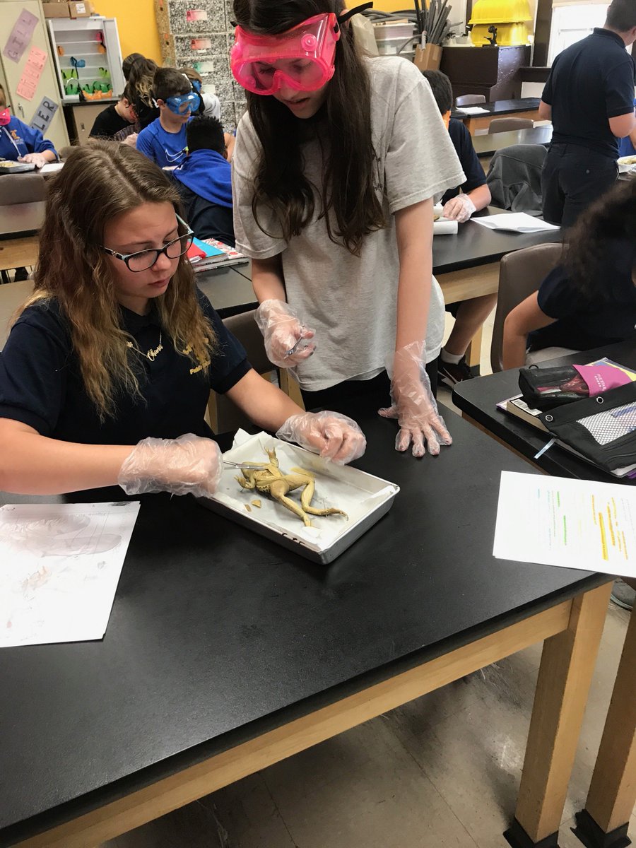 Roosevelt07071's tweet photo. 7th Grade science dissection with Mrs. Leonardi and Mrs. Sica. https://t.co/YPFspJEl8c